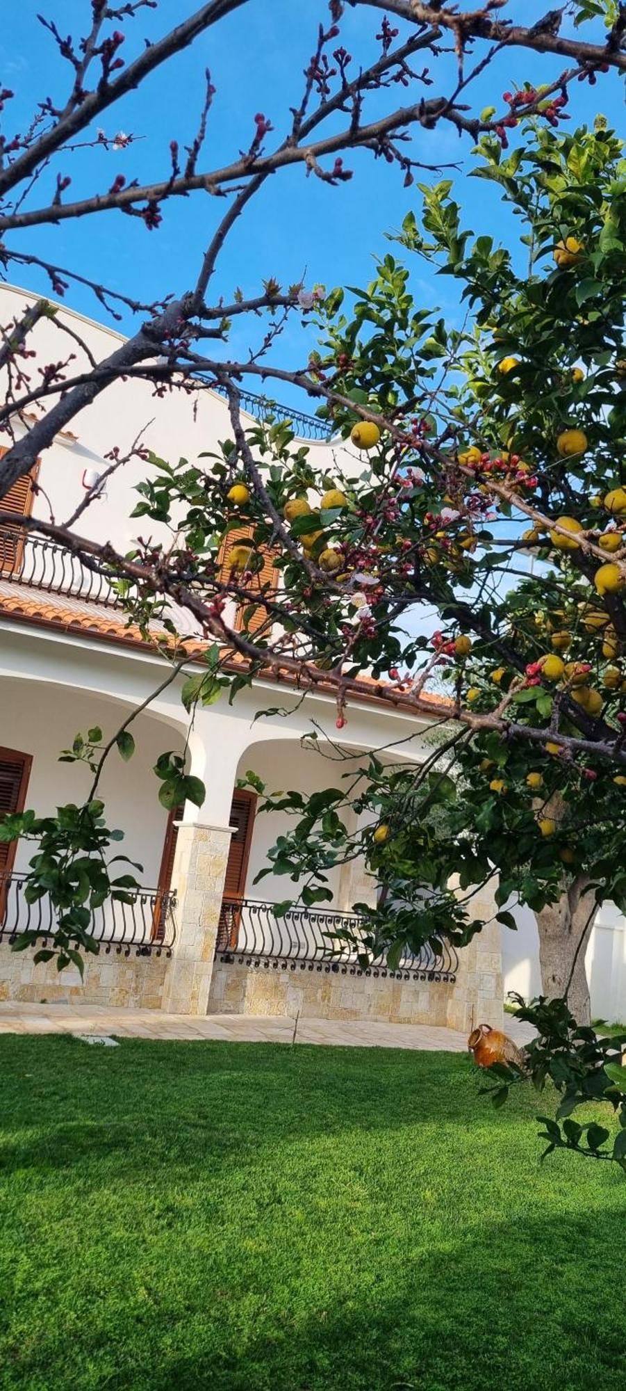 Villa Guajira บารี ภายนอก รูปภาพ