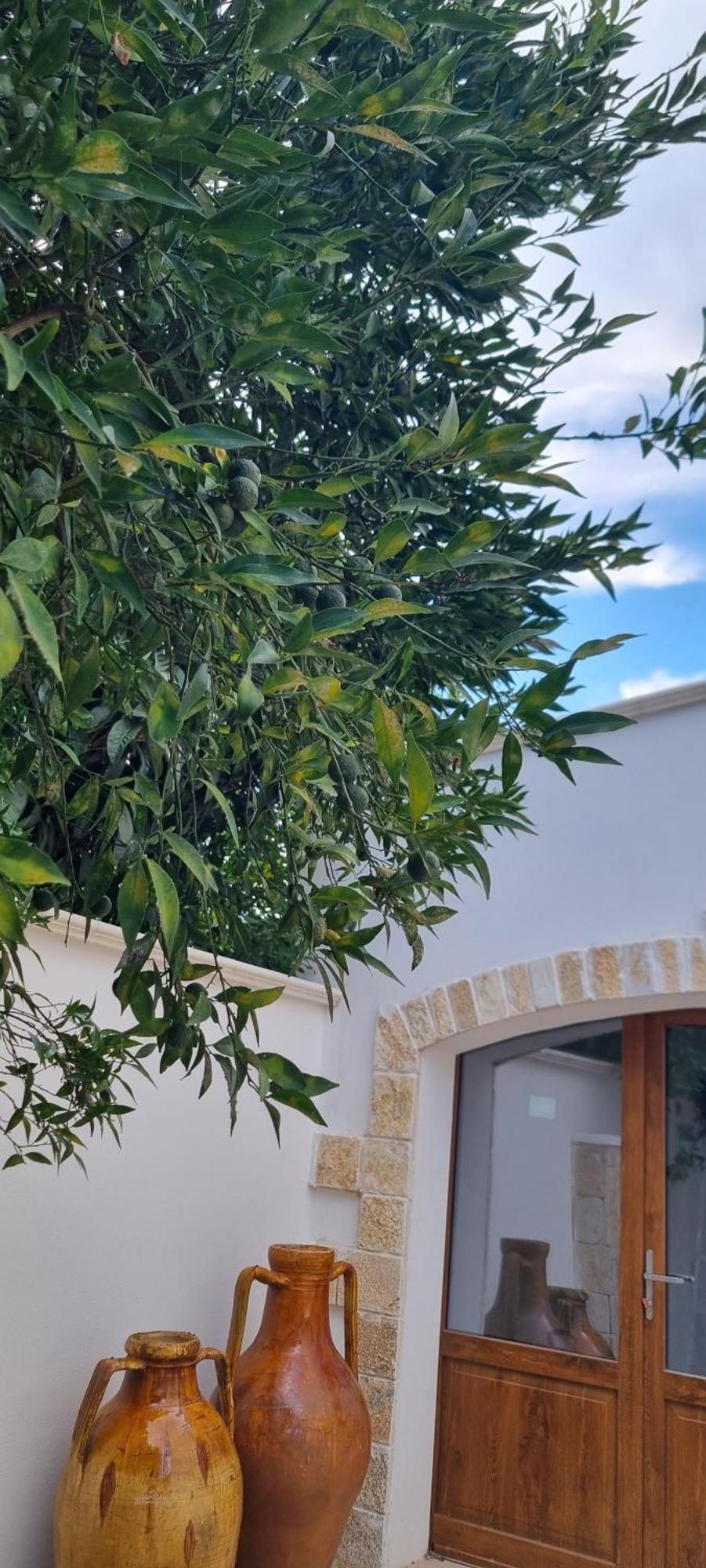 Villa Guajira บารี ภายนอก รูปภาพ