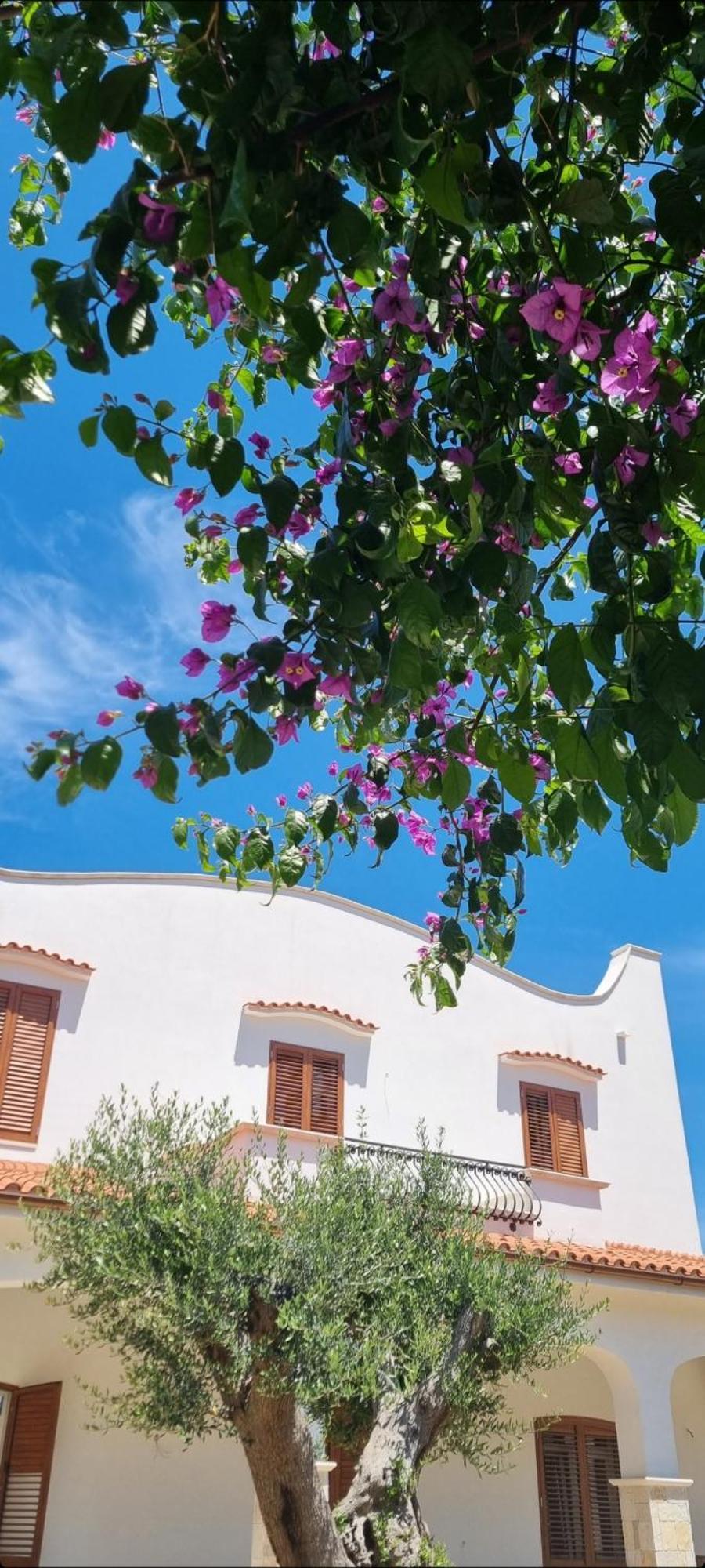 Villa Guajira บารี ภายนอก รูปภาพ
